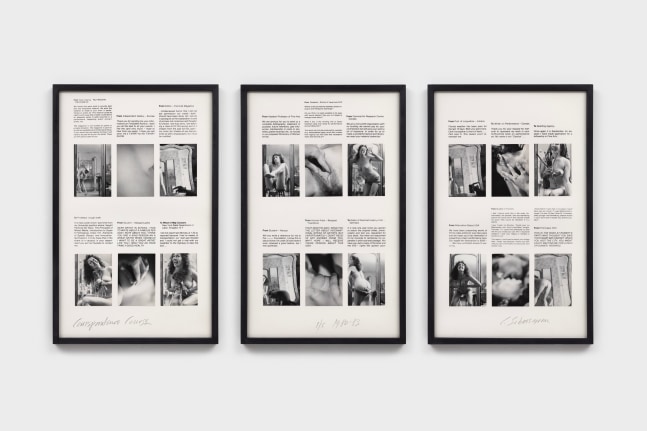 Carolee Schneemann
Correspondence Course (triptych), 1980-83
18 self-shot gelatin silver prints mounted on silkscreened text
30 1/4 x 60 3/4 in.
76.84 x 154.31 cm
1/5 (#1/5)