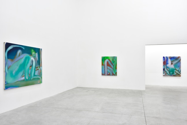 Elizabeth Glaessner, Le Consortium, install 1