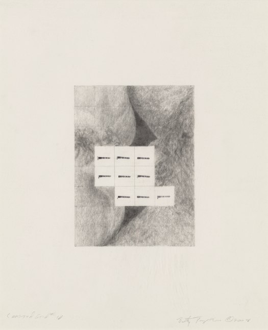 Betty Tompkins, Censored Grid #10, 2008