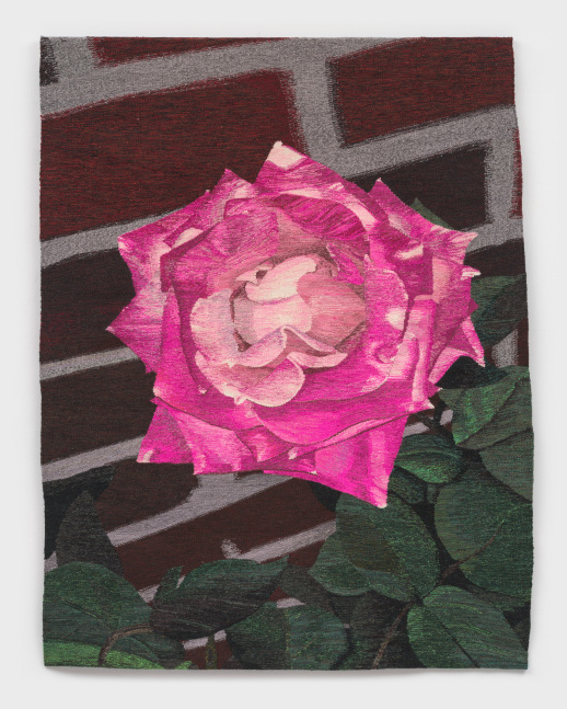 Erin M. Riley
Brooklyn Rose, 2024
wool, cotton
48 x 60 ins.
121.9 x 152.4 cm