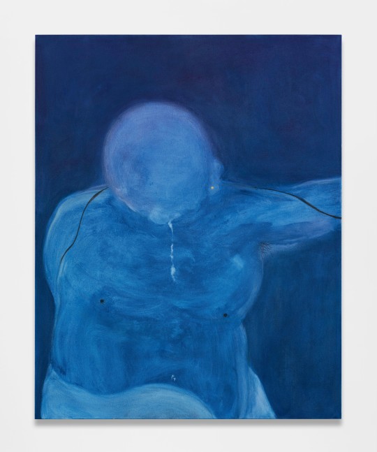 Owen Fu
Untitled (Frosty Fondue), 2024
oil on canvas
60 x 48 ins.
152.4 x 121.9 cm