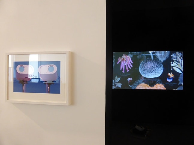 HFT The Gardener, install 3