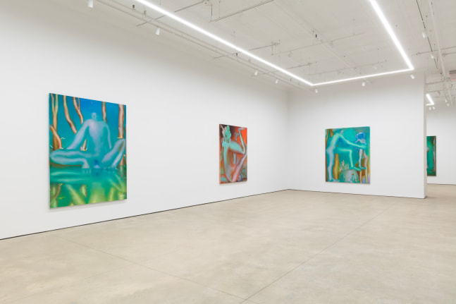 Elizabeth Glaessner, Phantom Tail install 6