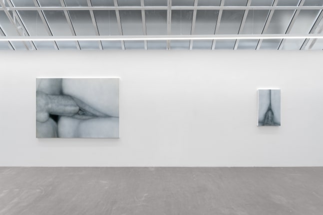 Sex Paintings (Installation View) Bremond Capela, Paris, France, April 26 &amp;mdash; May 31, 2025. Photo: Nicolas Brasseur.