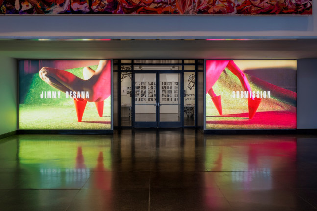 Jimmy DeSana: Submission