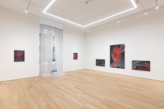 Daniel Correa Mej&iacute;a