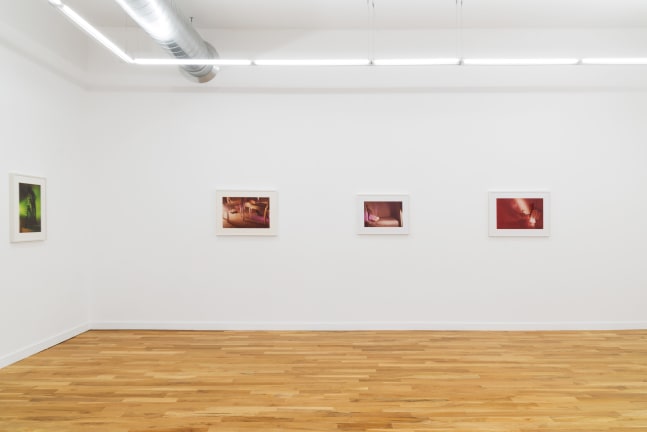 Suburban (Installation View) DOCUMENT, Chicago IL, September 8 &amp;ndash; October 28, 2023. Photo: DOCUMENT, Chicago.