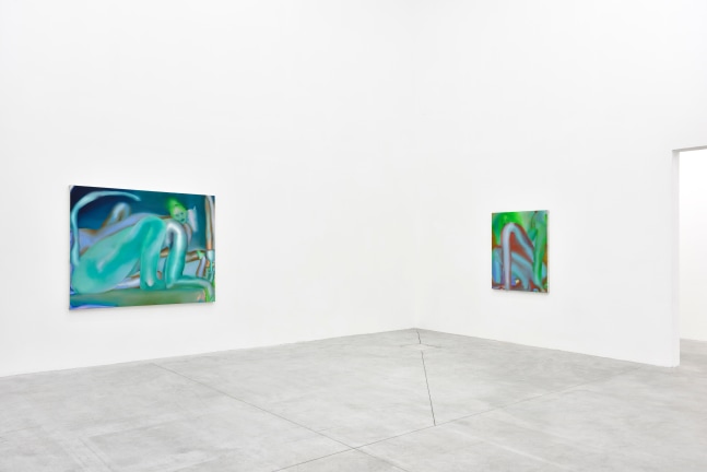 Elizabeth Glaessner, Le Consortium, install 2