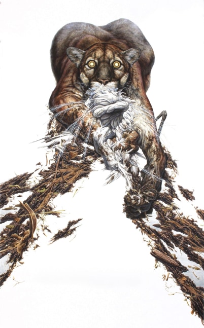 George Boorujy, Dredger, 2017