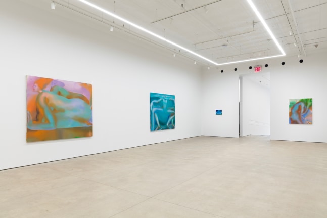 Elizabeth Glaessner, Phantom Tail install 9