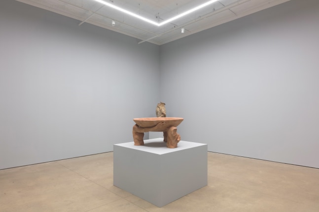 Knots, 2022, install 1