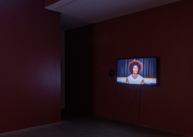 Carlos Motta, Conatus install 8