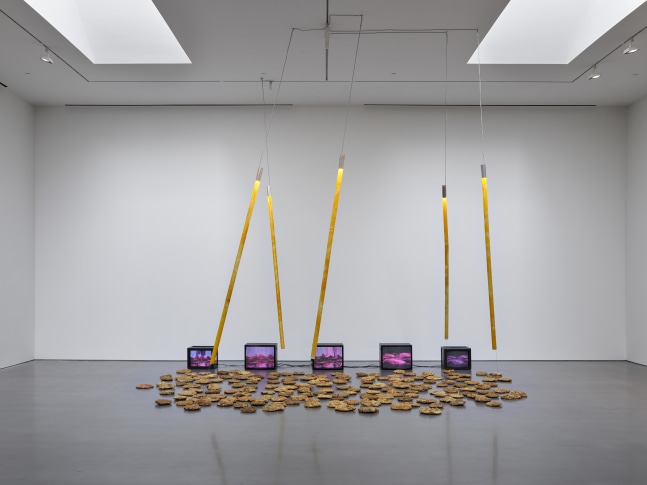 Carolee Schneemann (Installation View) Lisson Gallery, Los Angeles, CA, April 11 &amp;ndash; May 24, 2025