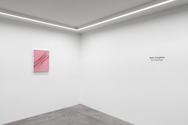 Sex Paintings (Installation View) Bremond Capela, Paris, France, April 26 &amp;mdash; May 31, 2025. Photo: Nicolas Brasseur.