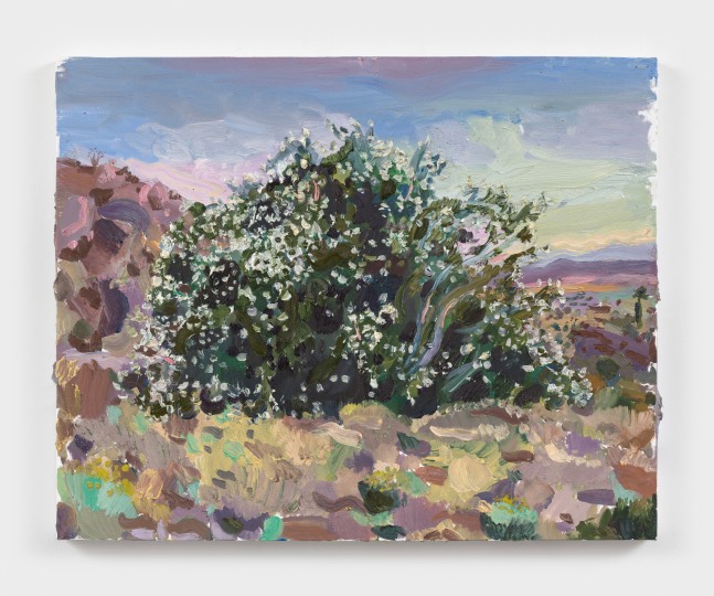 Allison Schulnik
Oleander #3, 2021
oil on canvas stretched over panel
24 x 30 ins.
61 x 76.2 cm