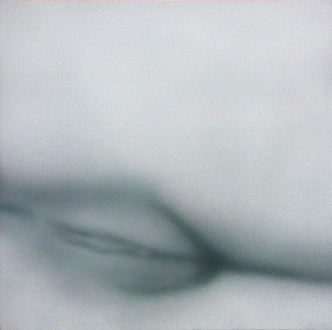 Betty Tompkins, Pussy Painting #27, 2016