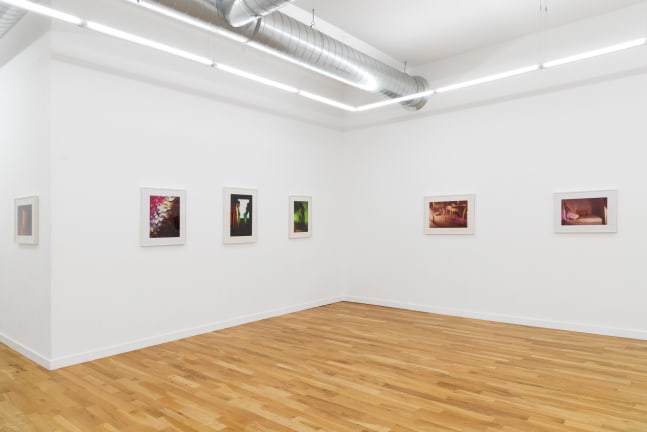 Suburban (Installation View) DOCUMENT, Chicago IL, September 8 &amp;ndash; October 28, 2023. Photo: DOCUMENT, Chicago.