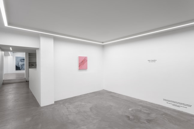 Sex Paintings (Installation View) Bremond Capela, Paris, France, April 26 &amp;mdash; May 31, 2025. Photo: Nicolas Brasseur.