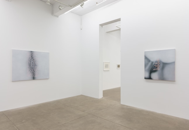 Betty Tompkins, Will She Ever Shut Up? install 6