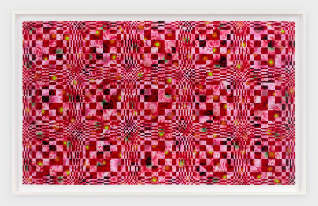 Dinh Q. L&amp;ecirc;

Untitled from the Tapestry Series (red pink), 2006

c-print and linen tape

53 x 85 ins.

134.6 x 215.9 cm