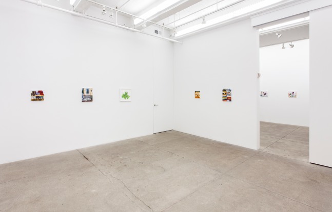 Bloomfield, install 4