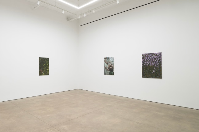 Tapestry (Installation View) P&amp;middot;P&amp;middot;O&amp;middot;W, New York, NY, September 6 &amp;ndash; October 19, 2024. Photo: JSP Art Photography.