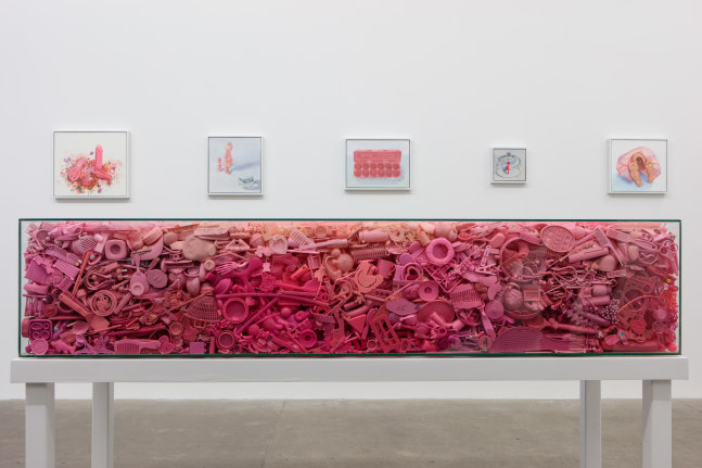 Portia Munson, The Garden, install 9