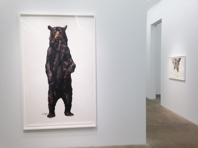 George Boorujy, Passenger install 5