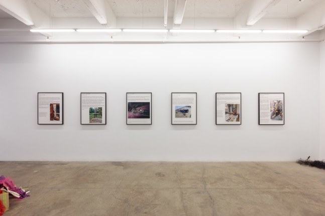 Carolee Schneeman, Tooth and Paw install 3