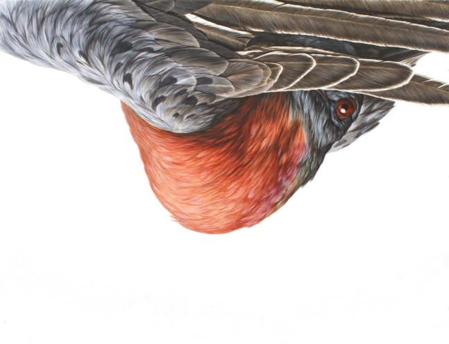 George Boorujy, Passenger II, 2013