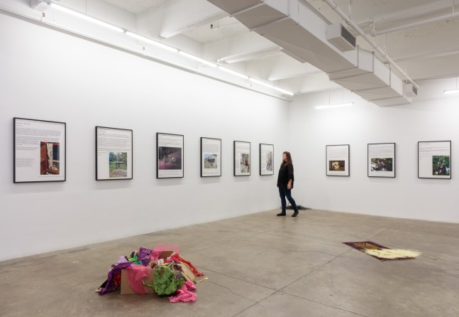 Carolee Schneeman, Tooth and Paw install 5