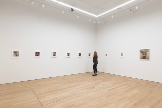 2021_RUINS_install 3