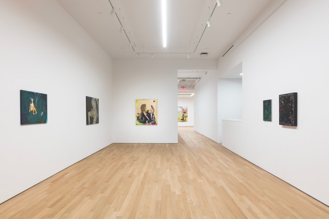 Hortensia Mi Kafchin