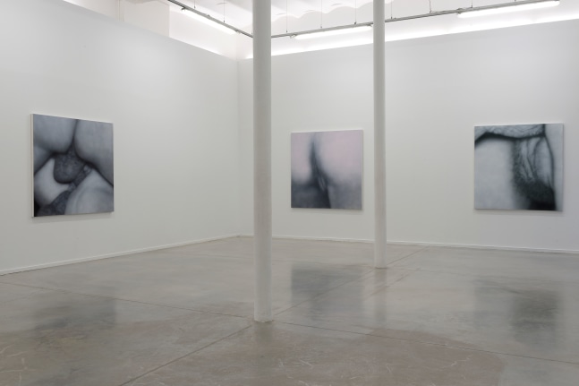 Installation View, Betty Tompkins: Raw Material, MO.CO Montpellier Contemporain, France. Photo by Marc Domage