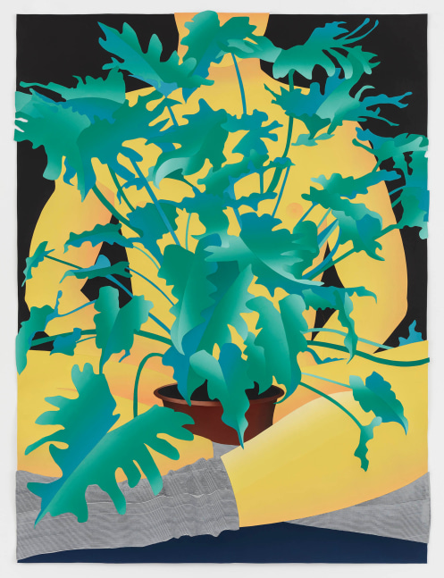 Anthony Iacono, Plant, 2018