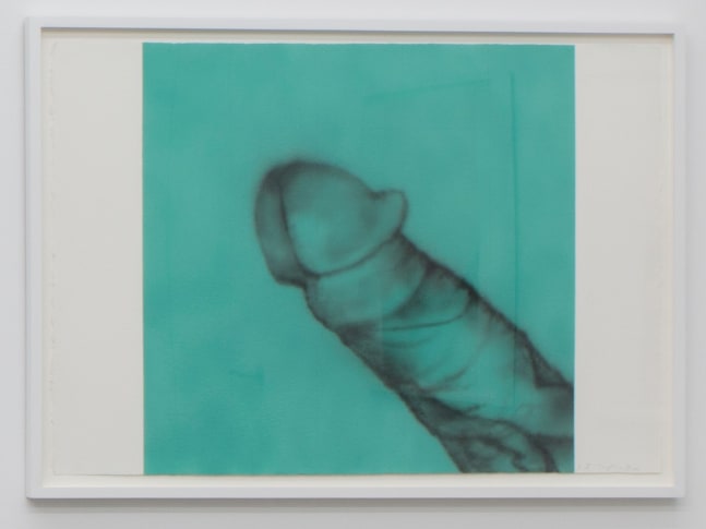 Betty Tompkins, Dick Grid Painting #2, 2016