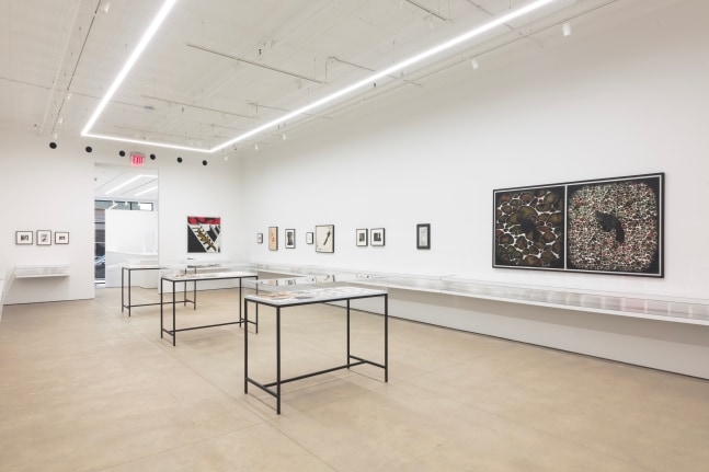 David Wojnarowicz, Dear Jean Pierre, install 6