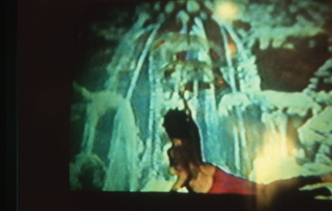 Carolee Schneemann, Fresh Blood - A Dream Morphology, 1983