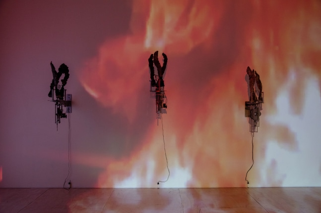Carolee Schneemann, Flange 6rpm, 2011-13