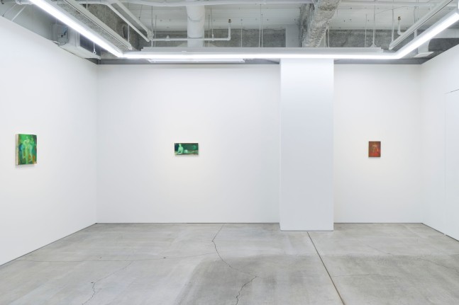 Head Games (Installation View) Courtesy Perrotin, Photographed by Osamu Sakamoto.