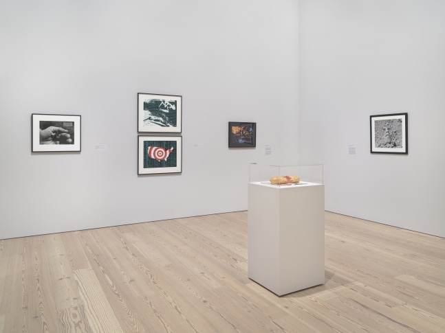 Installation view of&amp;nbsp;David Wojnarowicz: History Keeps Me Awake at Night, Whitney Museum of American Art, New York, July 13-September 30, 2018.&amp;nbsp;Photograph by Ron Amstutz.