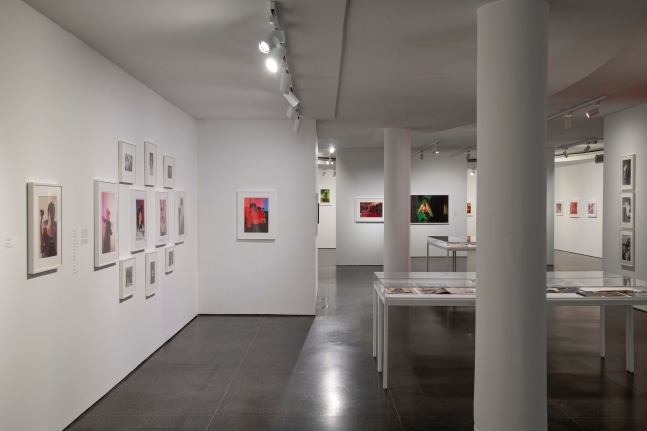 Jimmy DeSana: Submission