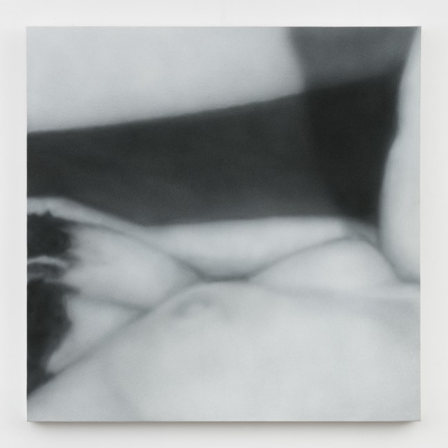 Betty Tompkins
Sex Painting #2, 2010
acrylic on canvas
36 x 36 ins.
91.4 x 91.4 cm