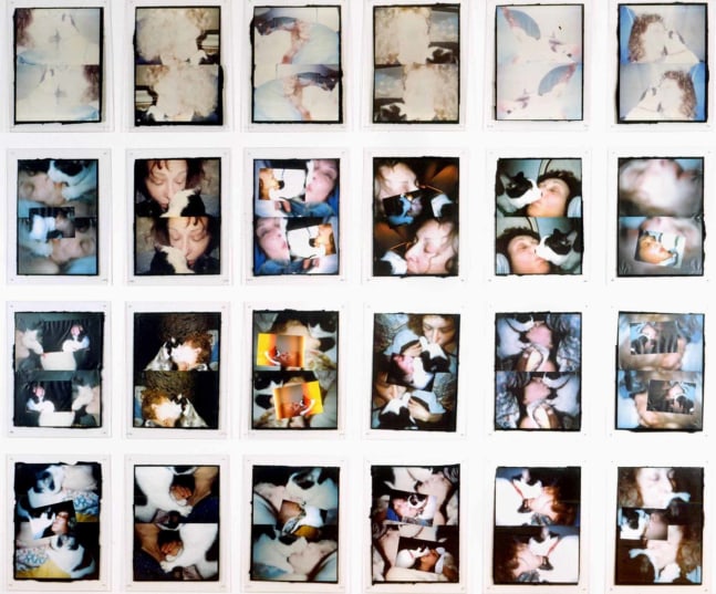 Carolee Schneemann, Infinity Kisses II (Vesper), 1990-98