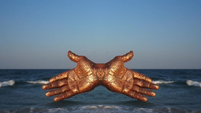 Hunter Reynolds, Medication Reminder, 2015