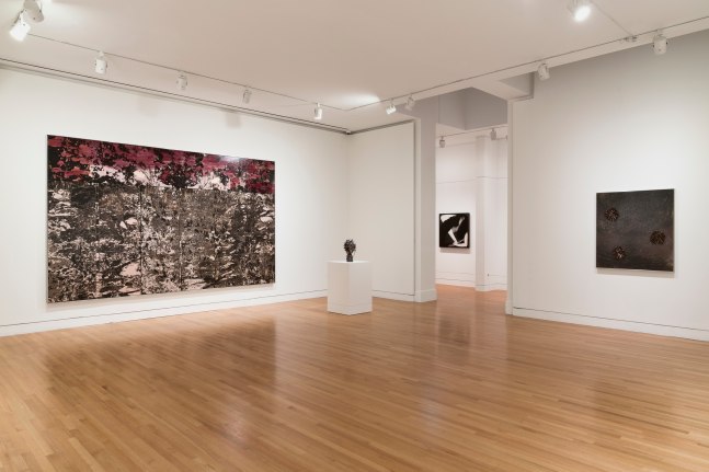 Twilight Child: Antonia Kuo and Martin Wong (Installation View) Frye Art Museum, Seattle, WA June 15 &amp;ndash;September 15, 2024. Photo: Jueqian Fang.