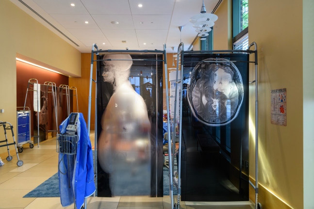 Pep&amp;oacute;n Osorio: Convalescence (Installation View), Philadelphia Contemporary, PA. Photo by Constance Marsh