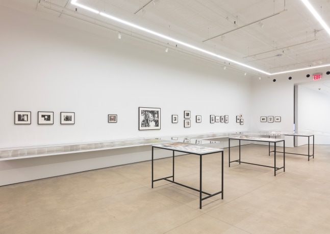 David Wojnarowicz, Dear Jean Pierre, install 8