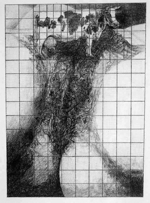 Betty Tompkins, Cow Cunt Grid #2, 1974