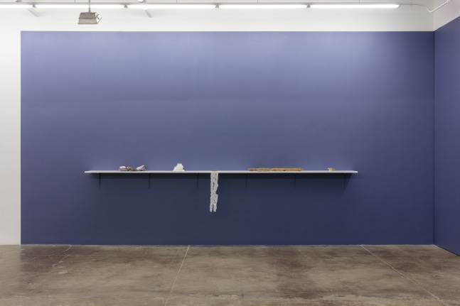 Carolee Schneeman, Tooth and Paw install 6